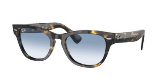 Picture of Ray Ban Sunglasses RB2201