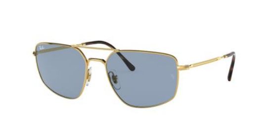 Picture of Ray Ban Sunglasses RB3666