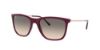 Picture of Ray Ban Sunglasses RB4344