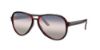 Picture of Ray Ban Sunglasses RB4355