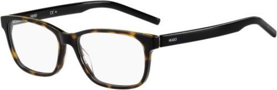 Picture of Hugo Boss Eyeglasses HUGO 1115