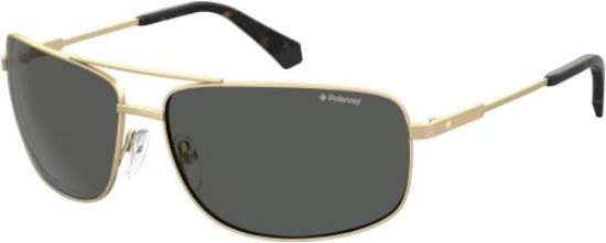 Picture of Polaroid Sunglasses 2101/S