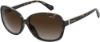 Picture of Polaroid Sunglasses 4098/S