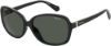 Picture of Polaroid Sunglasses 4098/S