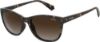 Picture of Polaroid Sunglasses 4099/S