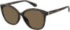 Picture of Polaroid Sunglasses 4100/F/S