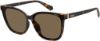 Picture of Polaroid Sunglasses 4101/F/S