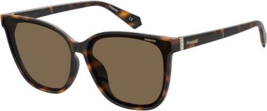 Picture of Polaroid Sunglasses 4101/F/S