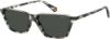 Picture of Polaroid Sunglasses 6126/S