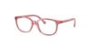 Picture of Ray Ban Eyeglasses RY1900F