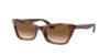 Picture of Ray Ban Sunglasses RB2299