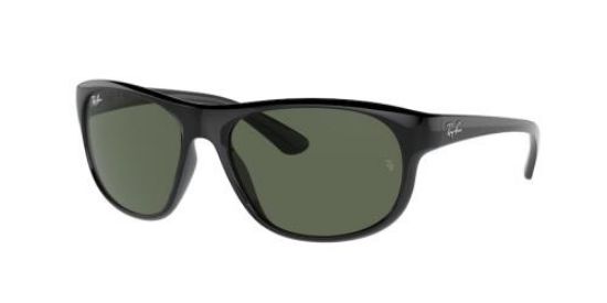 Picture of Ray Ban Sunglasses RB4351