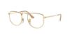 Picture of Ray Ban Eyeglasses RX3958V