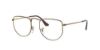 Picture of Ray Ban Eyeglasses RX3958V