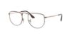 Picture of Ray Ban Eyeglasses RX3958V