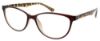 Picture of Bcbgmaxazria Eyeglasses DAMARIS