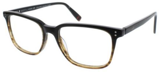 Picture of Steve Madden Eyeglasses CALVINO