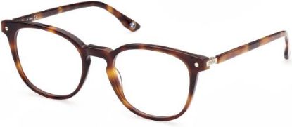 Picture of Bmw Eyeglasses BW5032