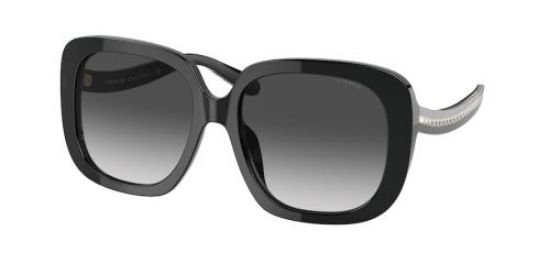 Picture of Coach Sunglasses HC8323U