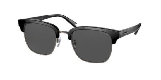 Picture of Coach Sunglasses HC8326