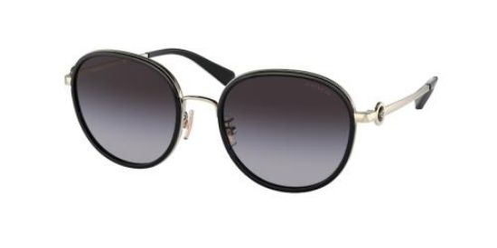 Picture of Coach Sunglasses HC7129