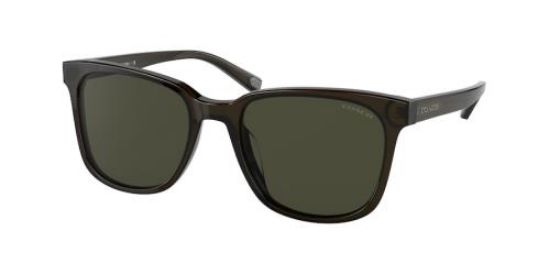 Picture of Coach Sunglasses HC8313U