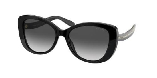 Picture of Coach Sunglasses HC8322