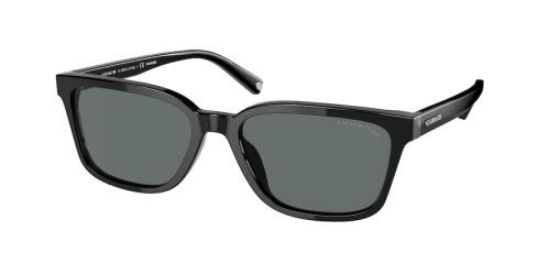 Picture of Coach Sunglasses HC8328U
