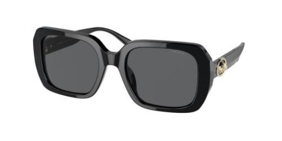Picture of Coach Sunglasses HC8329U