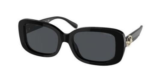 Picture of Coach Sunglasses HC8330