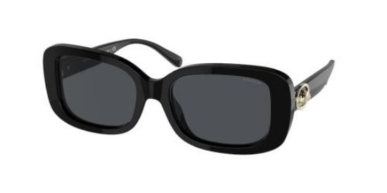 Picture of Coach Sunglasses HC8330F