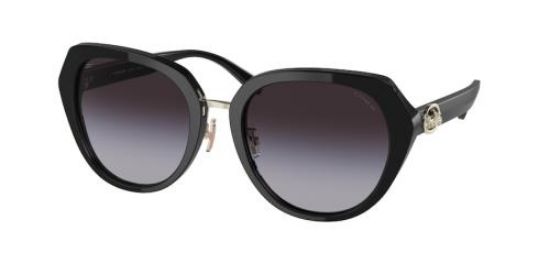 Picture of Coach Sunglasses HC8331