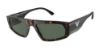 Picture of Emporio Armani Sunglasses EA4168