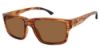 Picture of Champion Sunglasses SWEEP