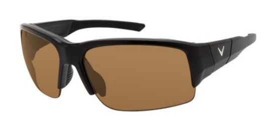 Picture of Callaway Sunglasses HASKELL POLAR CAL