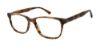 Picture of Caravaggio Eyeglasses 813 C