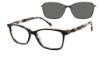 Picture of Revolution Eyeglasses ADA W CLIP