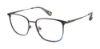 Picture of Robert Graham Eyeglasses MARCELLA