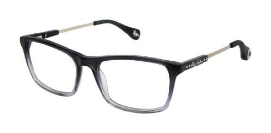 Picture of Robert Graham Eyeglasses NIKOLA