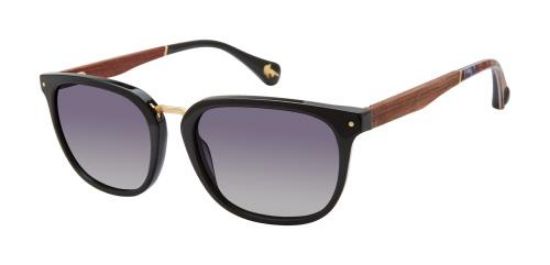 Picture of Robert Graham Sunglasses HUDSON