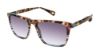 Picture of Robert Graham Sunglasses KOSMOS