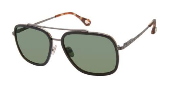 Picture of Robert Graham Sunglasses LOUIS