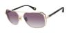 Picture of Robert Graham Sunglasses MAXIMUS