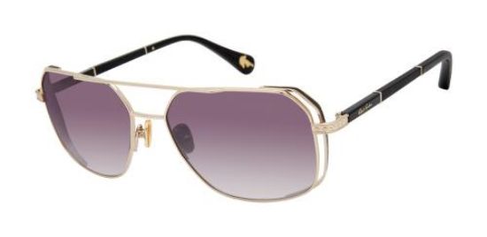 Picture of Robert Graham Sunglasses MAXIMUS