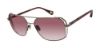 Picture of Robert Graham Sunglasses MAXIMUS