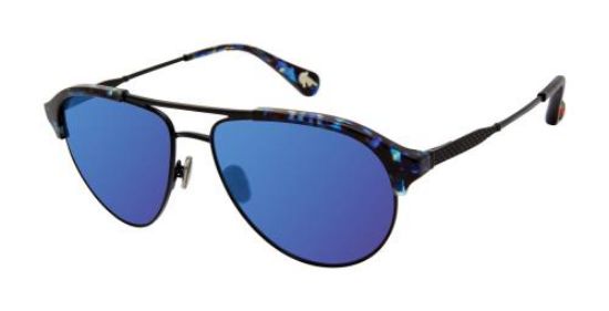 Picture of Robert Graham Sunglasses STAVROS