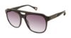 Picture of Robert Graham Sunglasses ZEUS