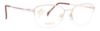 Picture of Stepper Eyeglasses 50155 SI