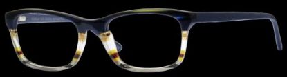 Picture of Wildflower Eyeglasses GAZANIA