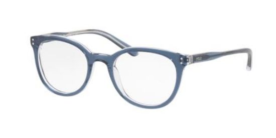 Picture of Polo Eyeglasses PP8529